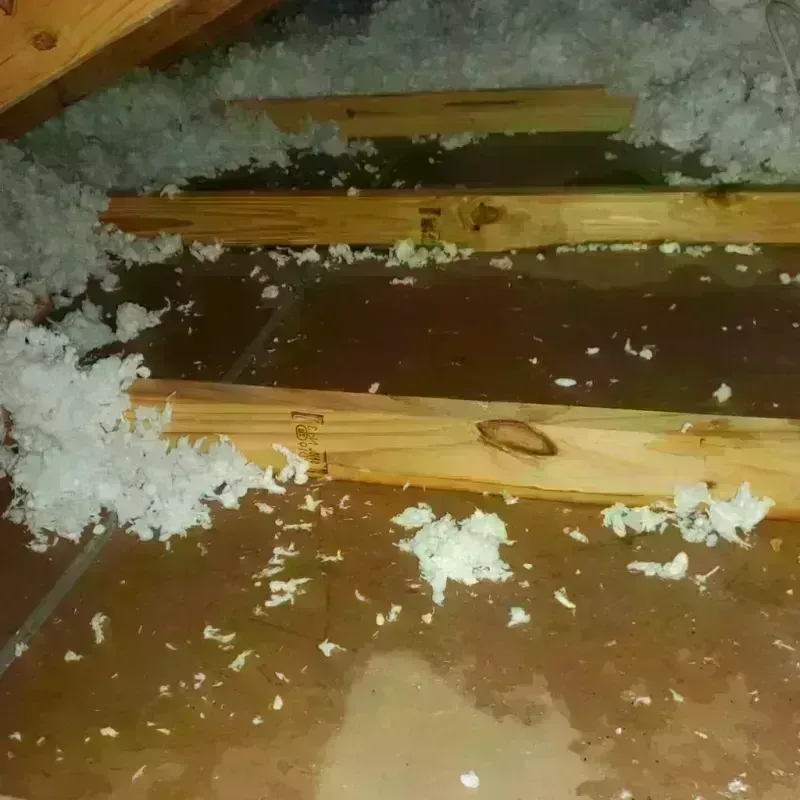 Attic Water Damage in West Salem, WI