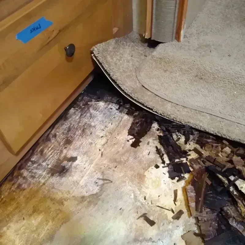 Wood Floor Water Damage in West Salem, WI